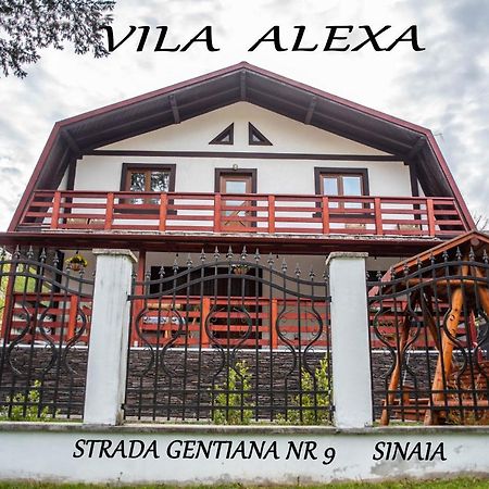 Casa Alexa Villa Sinaia Kültér fotó